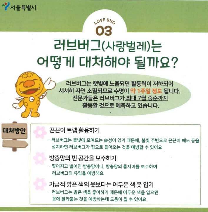 러브버그-퇴치방법-서울시-안내
