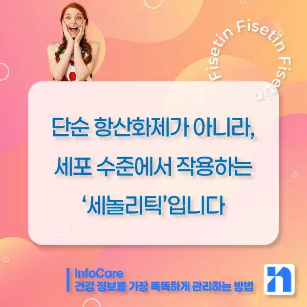 피세틴 효능 복용법