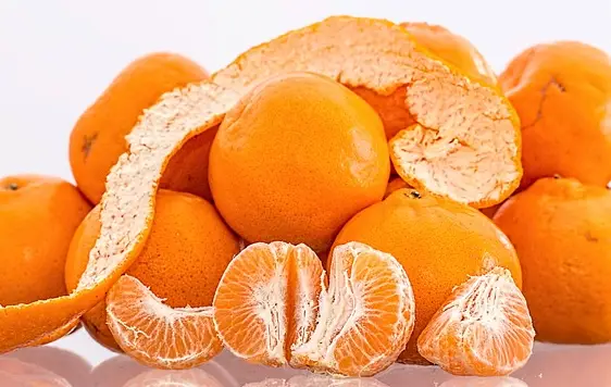 강아지가 먹어도 되는 과일 귤 사진