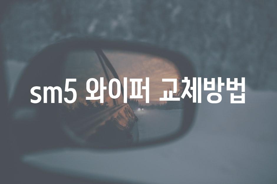 Windshield 5