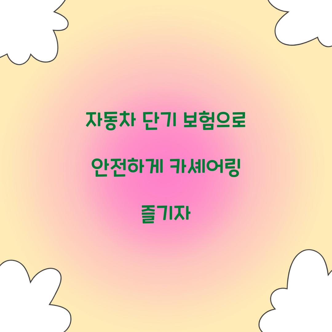 자동차 단기 보험