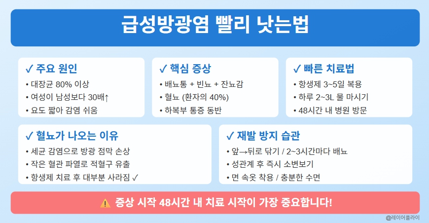 급성방광염 빨리 낫는법