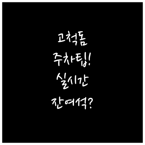 고척스카이돔 주차 실시간 잔여석 확인..