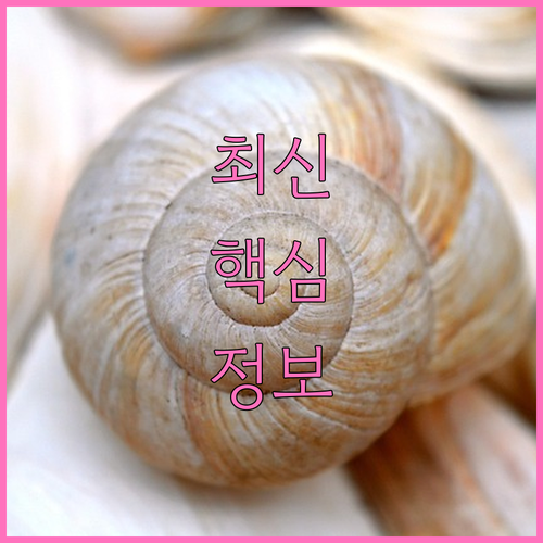 월 최대 10만원 상생페이백, 사기 ..