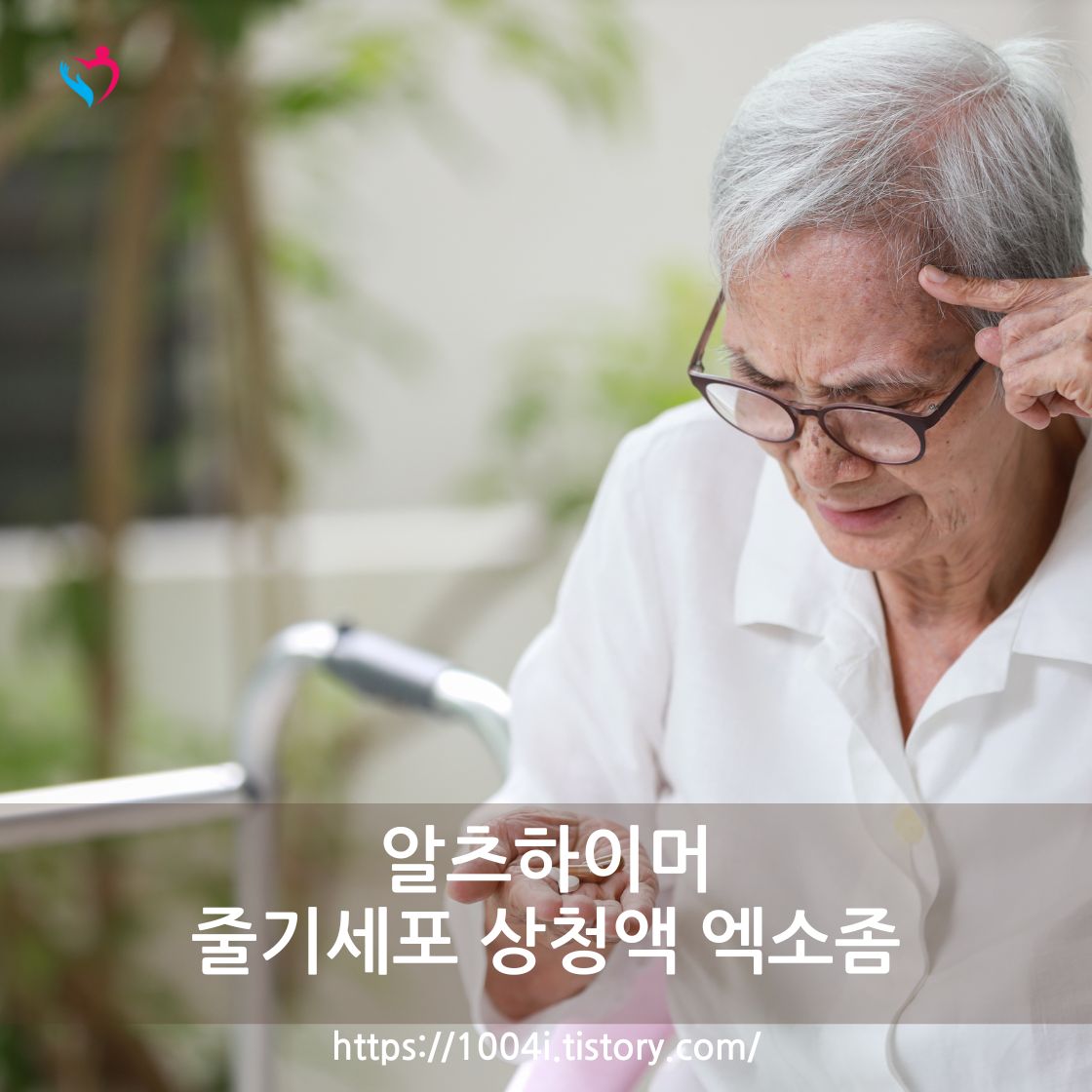 알츠하이머성 치매 – 뇌 신경 질환