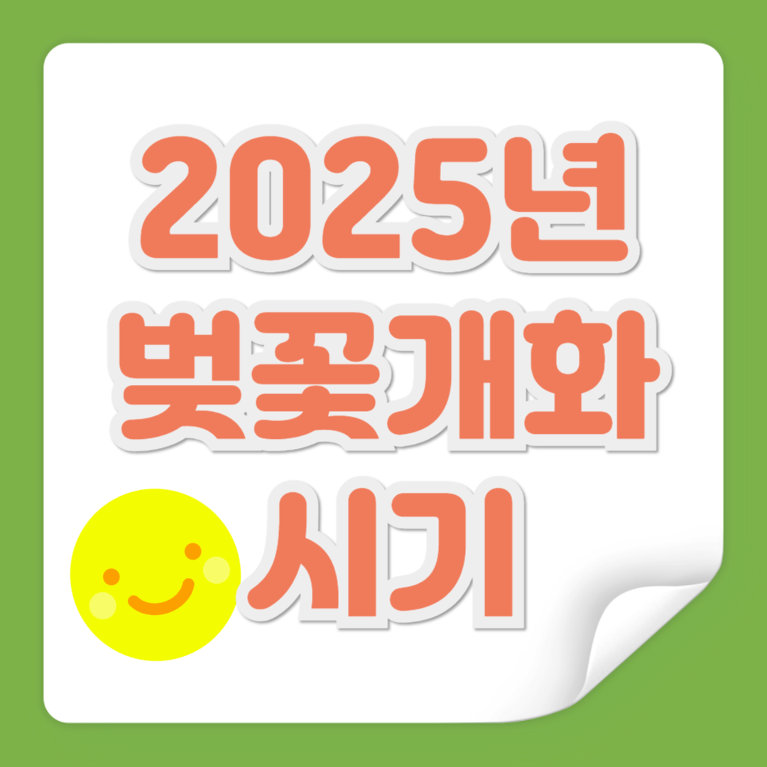 벚꽃개화시기 관련 사진