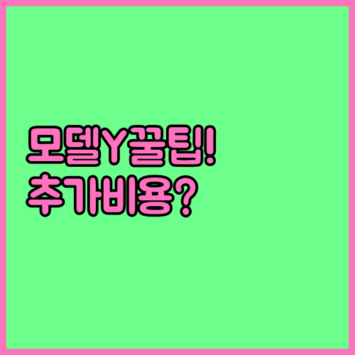 테슬라 모델Y 옵션 선택 팁과 추가 ..