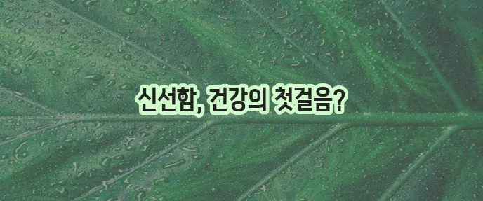 고양이 사료 유통기한 확인은 건강의 필수 길잡이입니다!