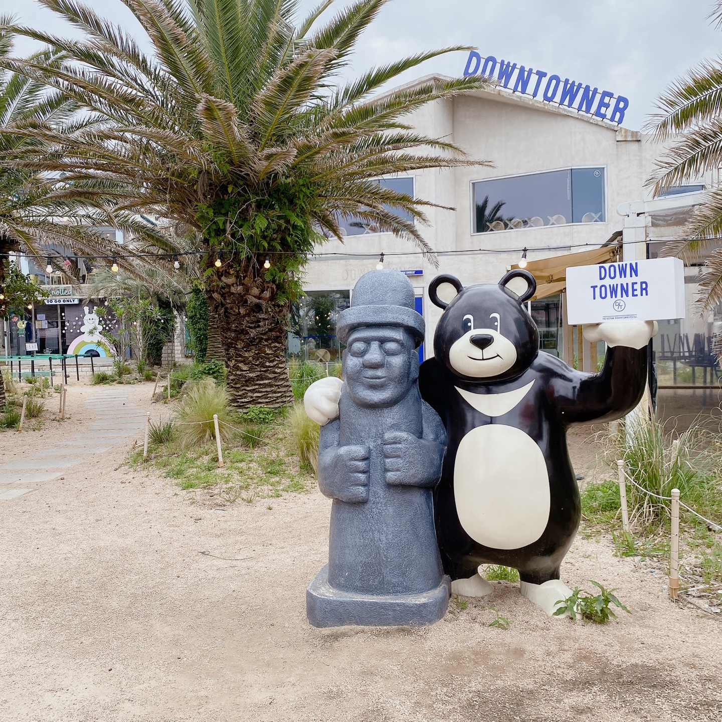 노티드 도넛 제주 애월 핫플레이스 우유크림 도넛 Knotted JEJU