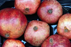 석류의 효능과 부작용