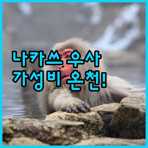 나카쓰 우사 가성비 온천 호텔 추천 ..