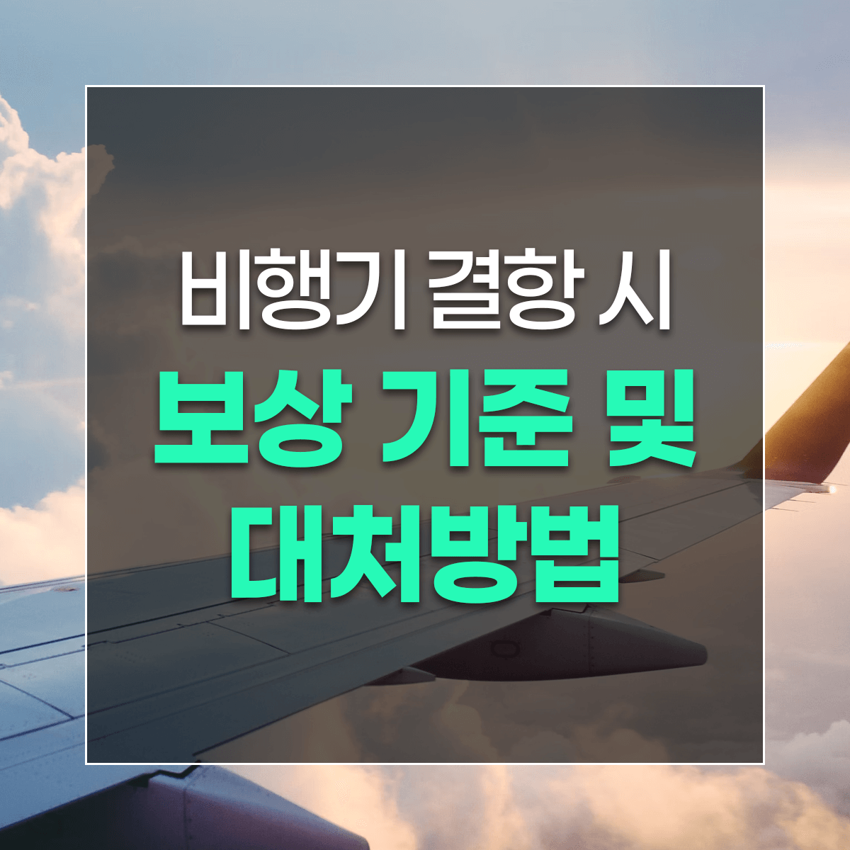 비행기 결항 시 보상 기준 및 대처방법