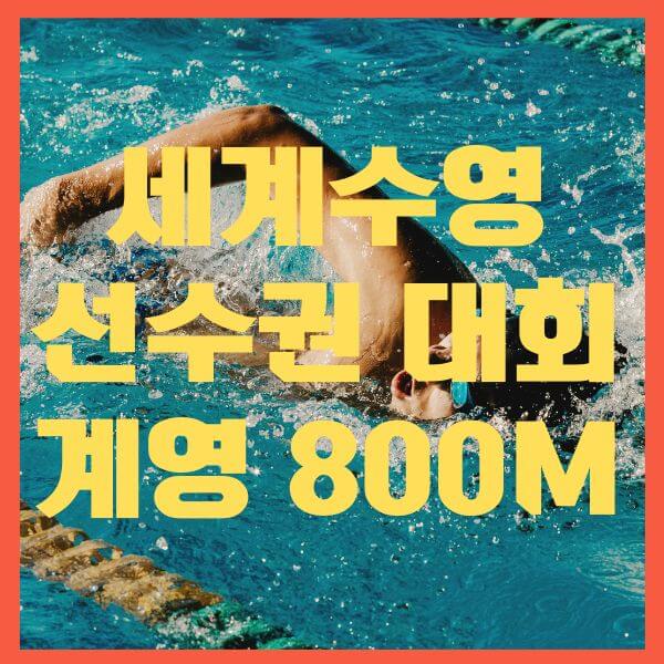 수영계영800m