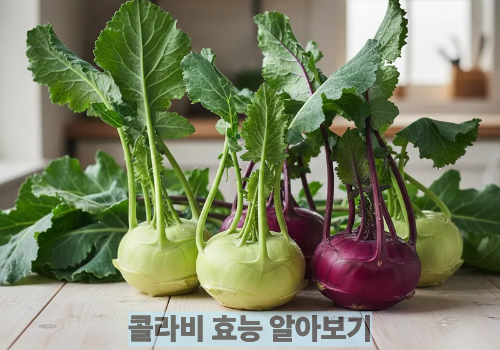콜라비 효능 알아보기