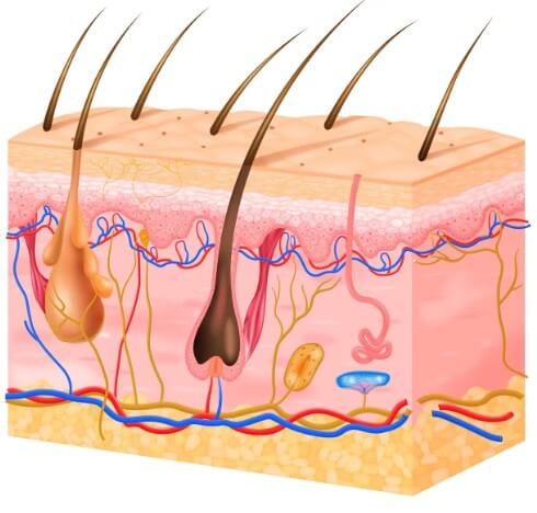 모공각화증 원인