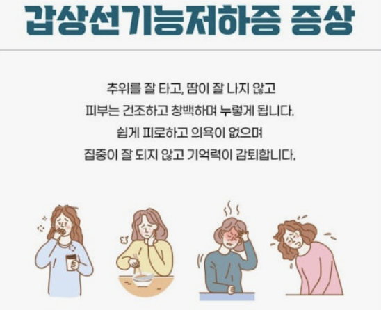 갑상선 기능 저하증 증상
