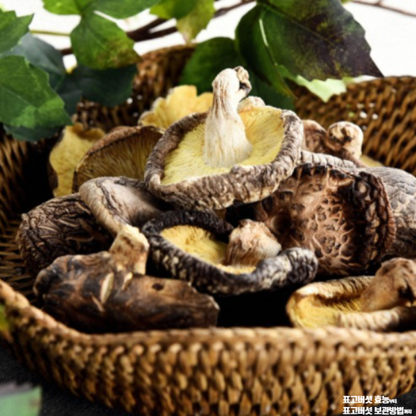 표고버섯 효능│표고버섯 보관방법 