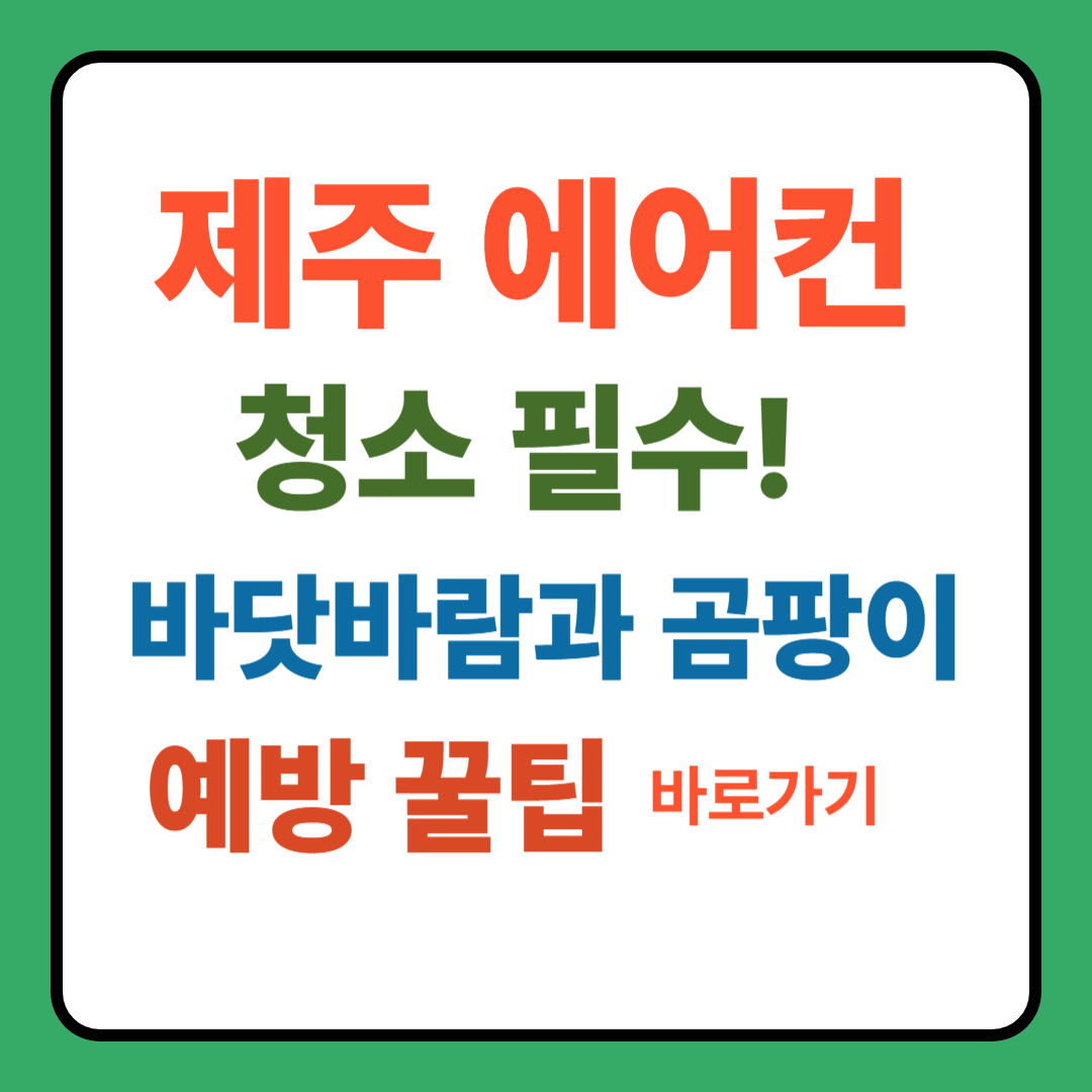 제주 벽걸이 에어컨 청소, 바닷바람 곰팡이 주의!
