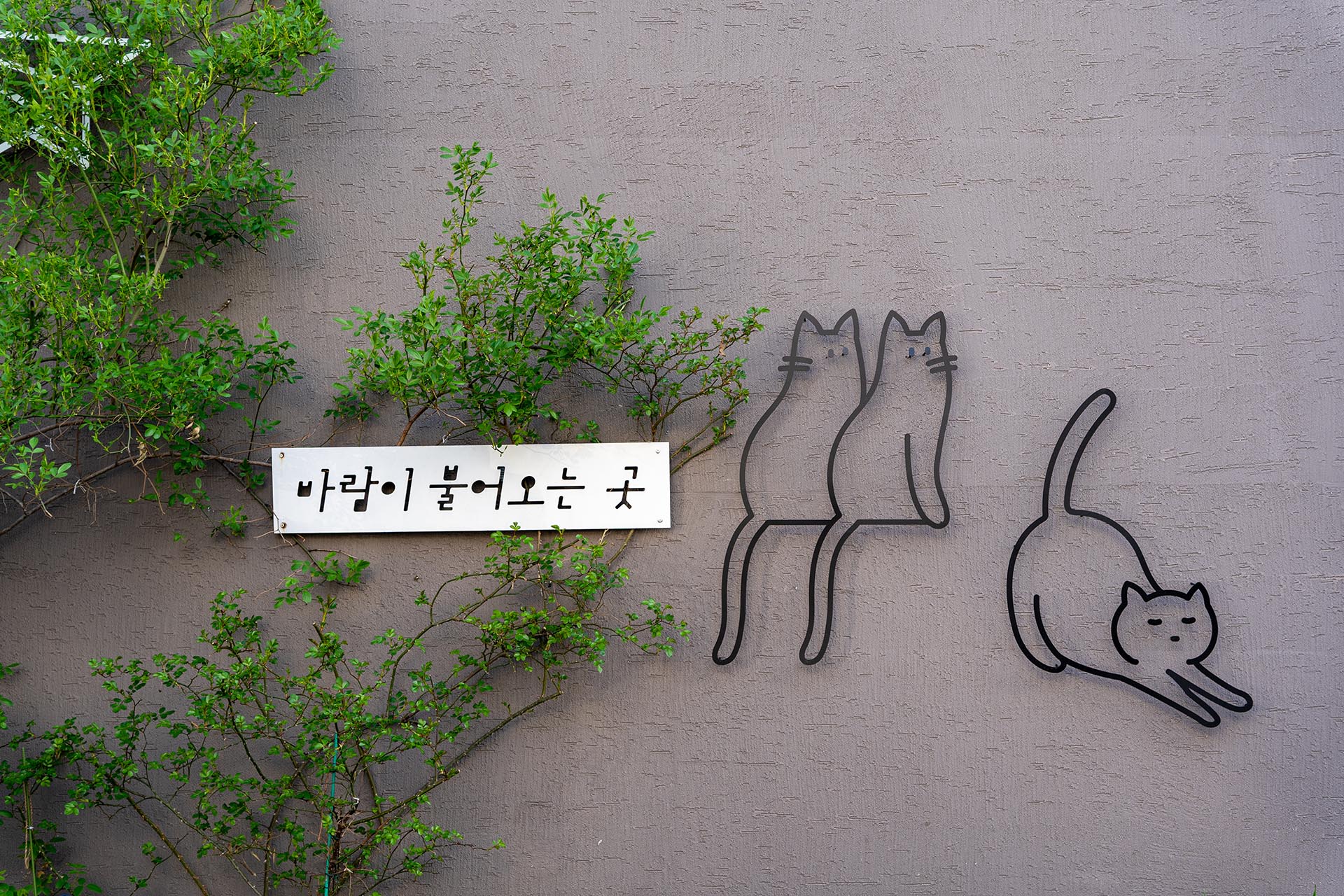 김광석 다시 그리기 길