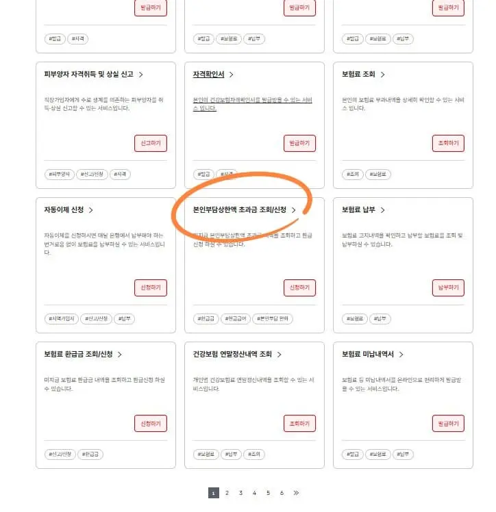 본인부담 상한액 초과금 신청 방법및 신청 후기