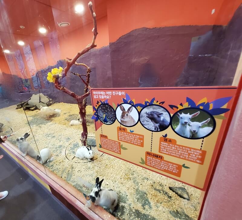 하이브실내 동물원