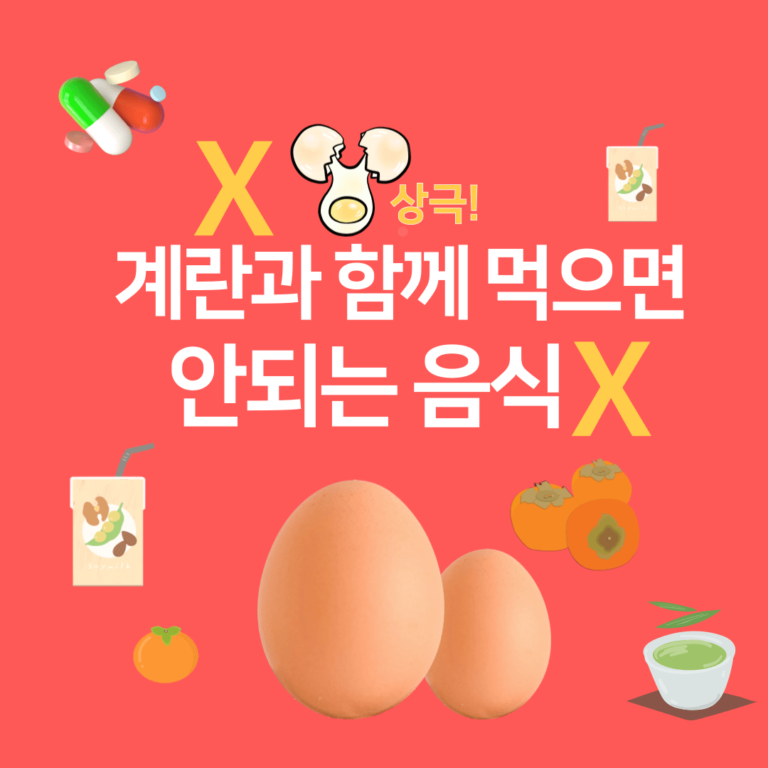 계란과 함께 먹으면 안좋은 음식 두유, 약, 감, 녹차