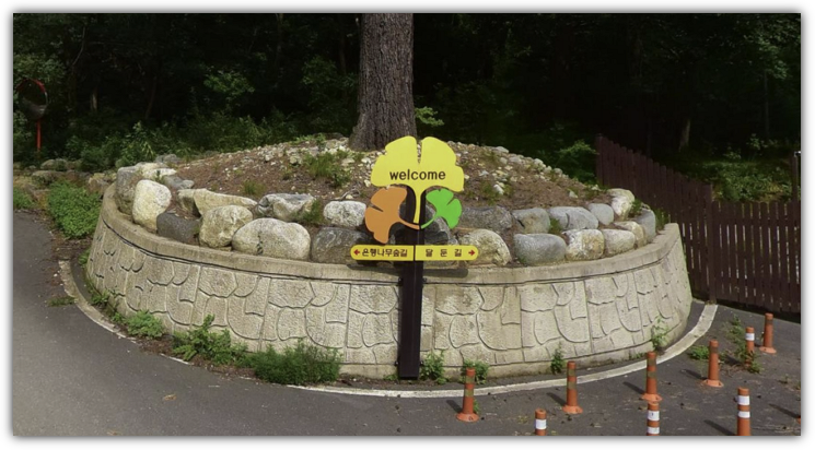 홍천 은행나무숲길 표지판