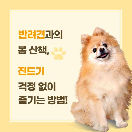 반려견과의 봄 산책, 진드기 걱정 없이 즐기는 방법!