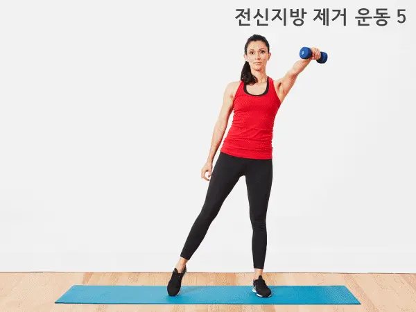 전신지방 태우는 운동 다이어트 하루5분운동