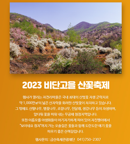 벚꽃축제