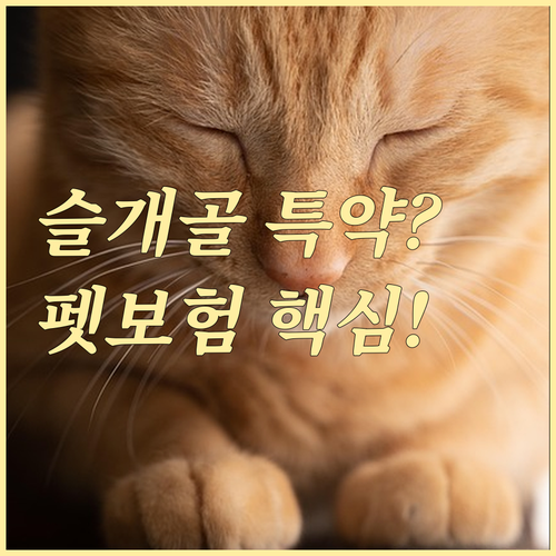 슬개골 탈구 특약 포함, 나에게 맞는..