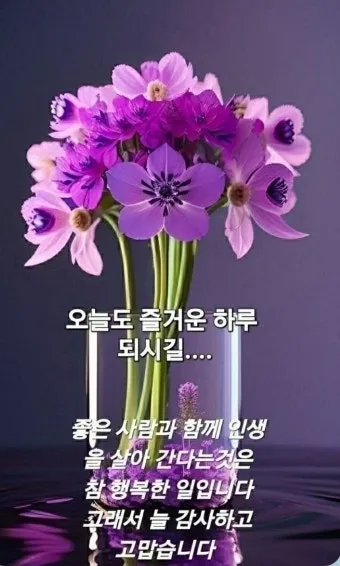 기분 좋은 아침 인사말 문구 이미지 모음들_11