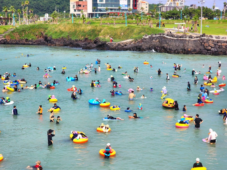 국내 해수욕장 개장일