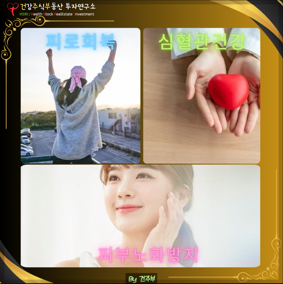 피로회복 심혈관 건강 피부 노화 방지, 그리고 뇌 건강 증진
(글 그림 : 건주부, 그림 출처 : Canva)