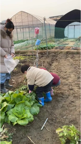 주말농장 시작법 분양 준비물 초보팁 가족과 함께 즐기기_10