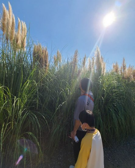 태안-청산-수목원