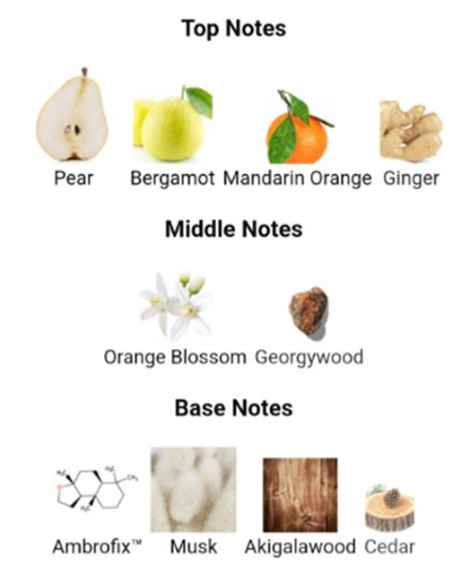 요즘 릴스 난리 난 향수, 엑스니힐로 블루탈리스만 뭐길래?