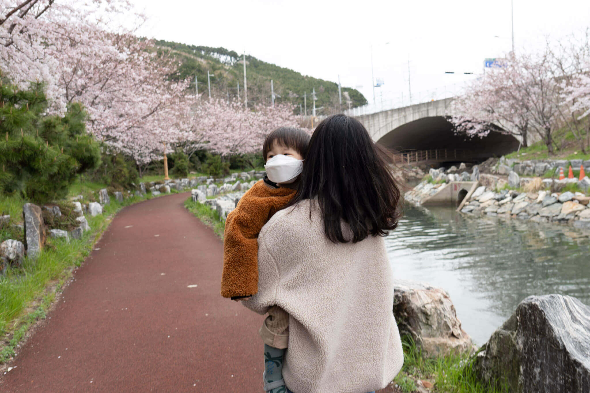 2024벚꽃축제일정 벚꽃개화시기