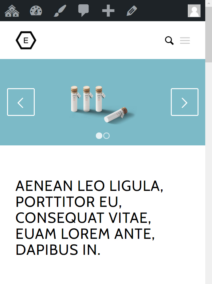 워드프레스 엔폴드 테마 로고 크기 변경하기