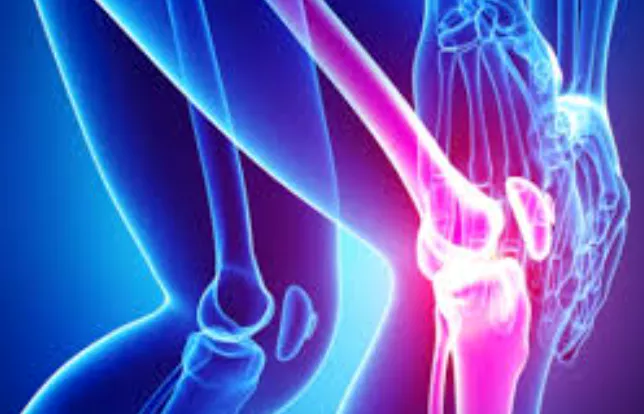 콜라겐의-효능-콜라겐-부작용-건강