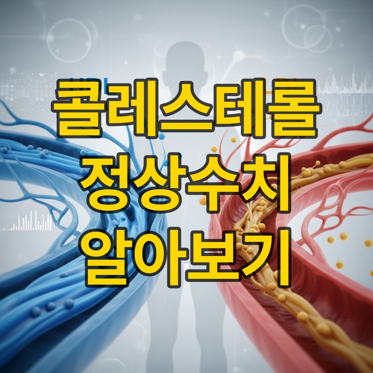 콜레스테롤 정상수치 알아보기