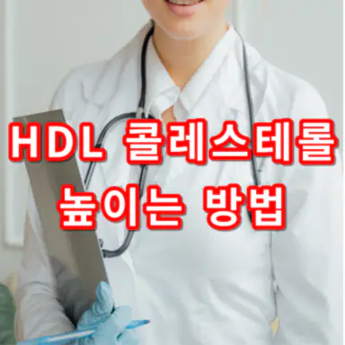 hdl-콜레스테롤-높이는-방법-정상수치-건강