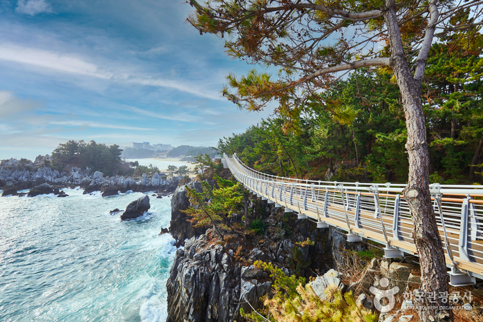 동해 가볼만한곳 - 추암해변, 촛대바위, 출렁다리