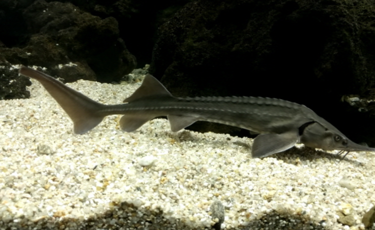 부천 자연생태공원