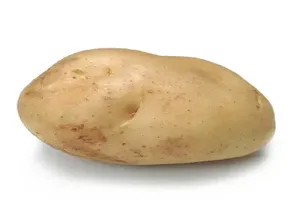 감자