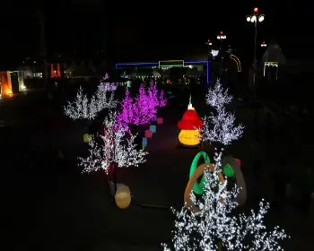 금산 인삼축제_12