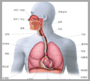 제니 과호흡 응급처치