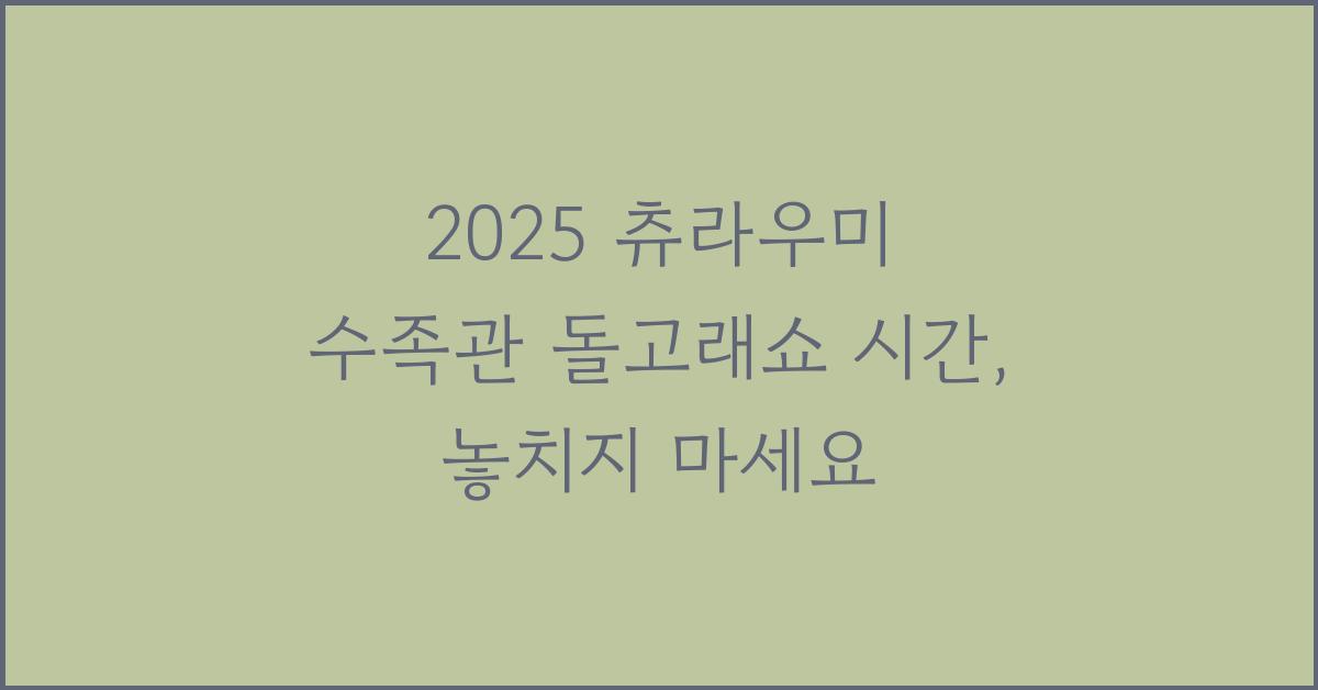 2025 츄라우미 수족관 돌고래쇼 시간
