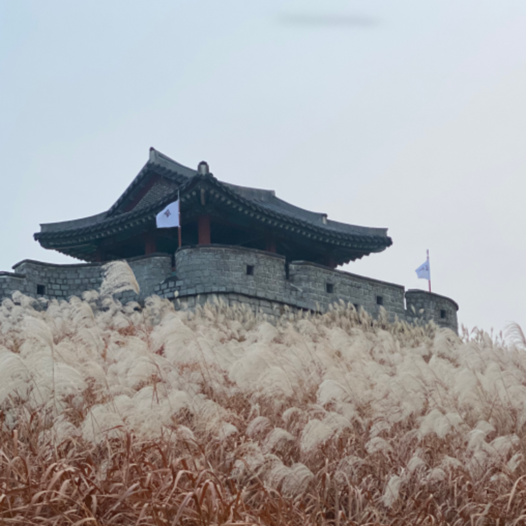 국내 여행지 관련 사진