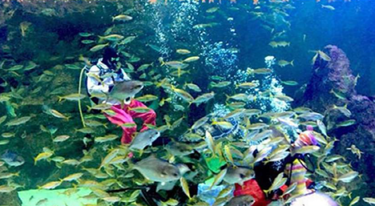 울진 아쿠아리움